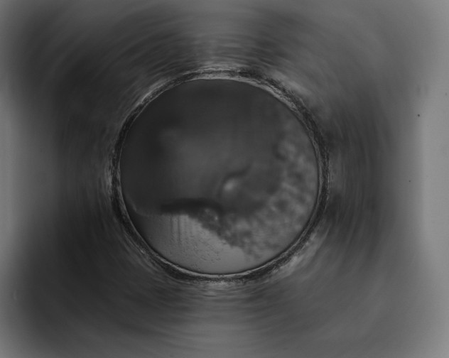 X0000093131401200710101050