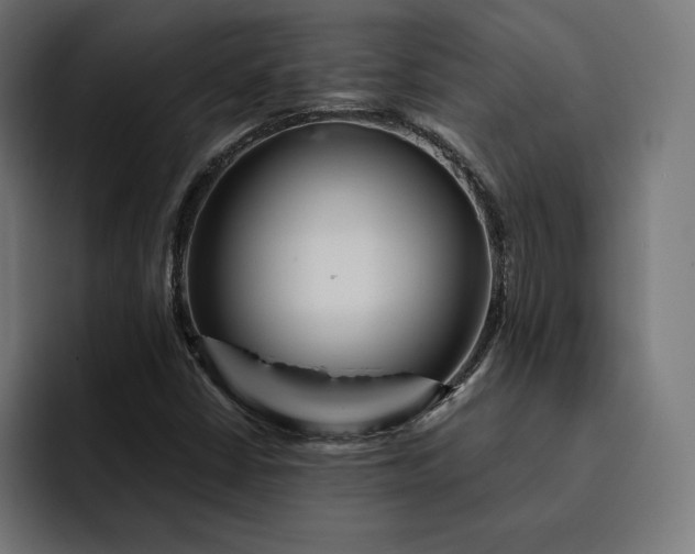 X0000093131402200710101050