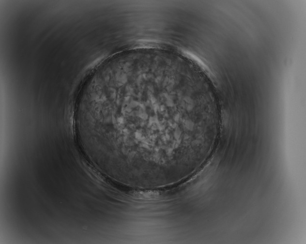 X0000093131403200710101050