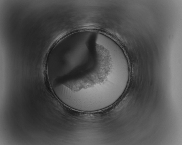 X0000093131405200710101050