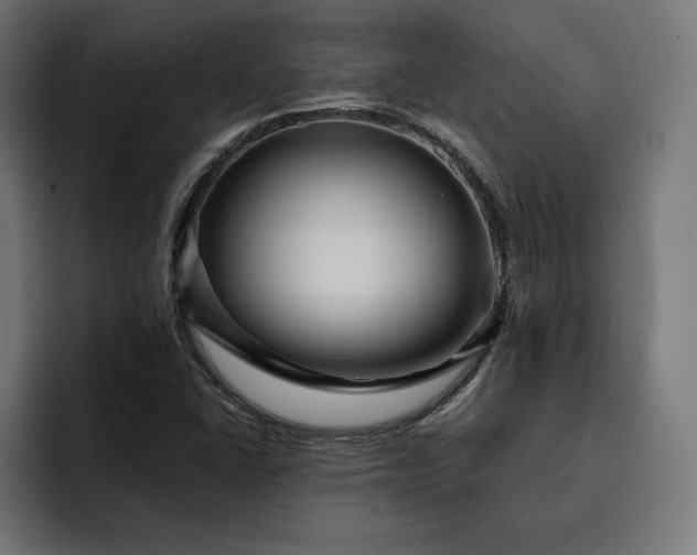 X0000093131406200710101050