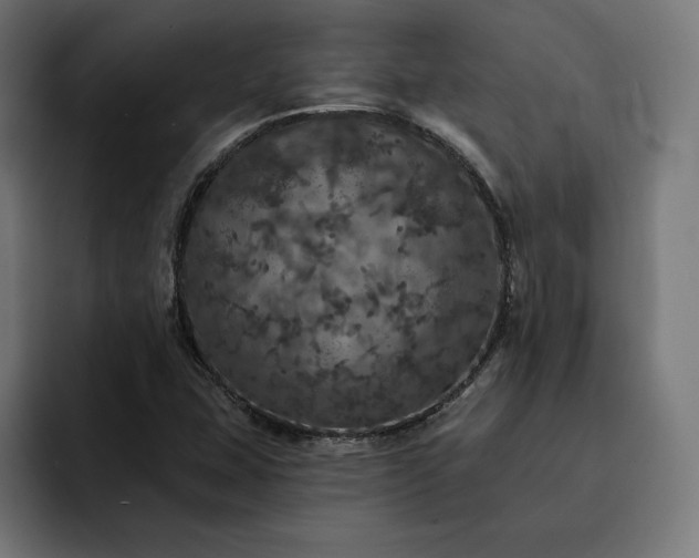 X0000093131407200710101050