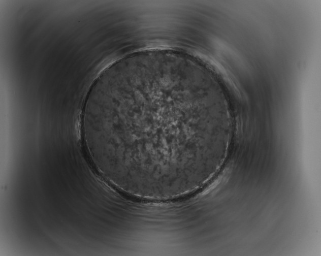 X0000093131409200710101050