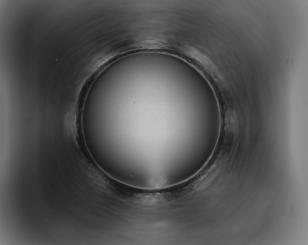 X0000093131410200710101050