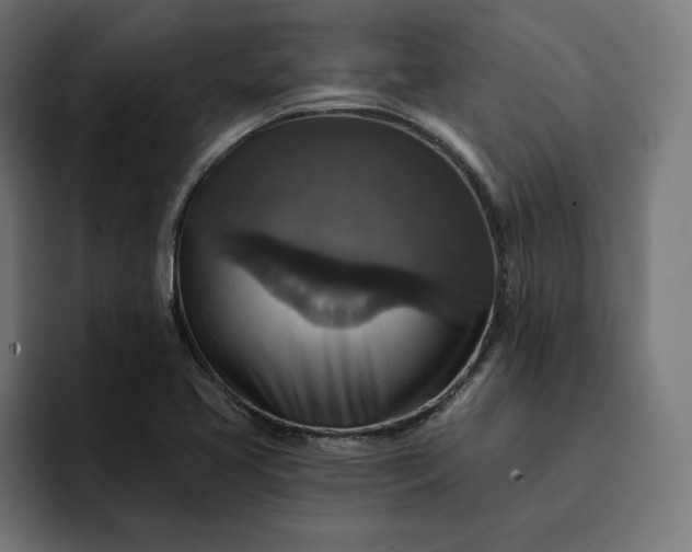 X0000093131413200710101050