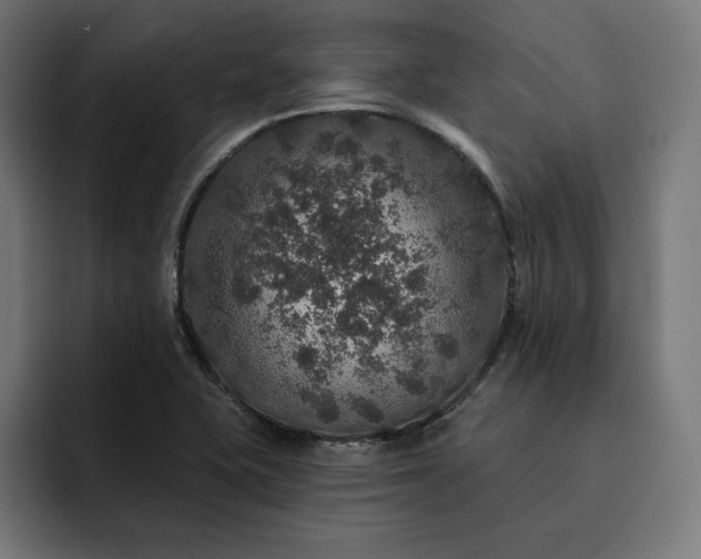 X0000093131415200710101050