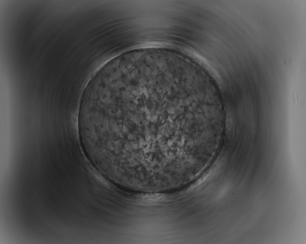 X0000093131417200710101050