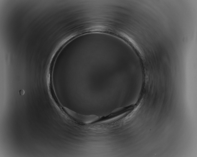 X0000093131418200710101050