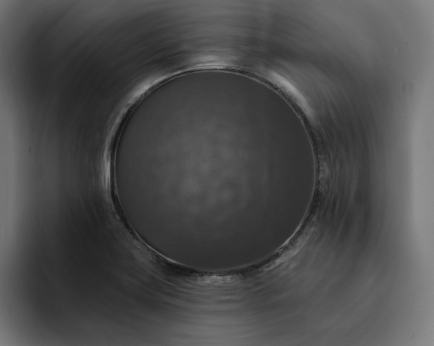 X0000093131419200710101050