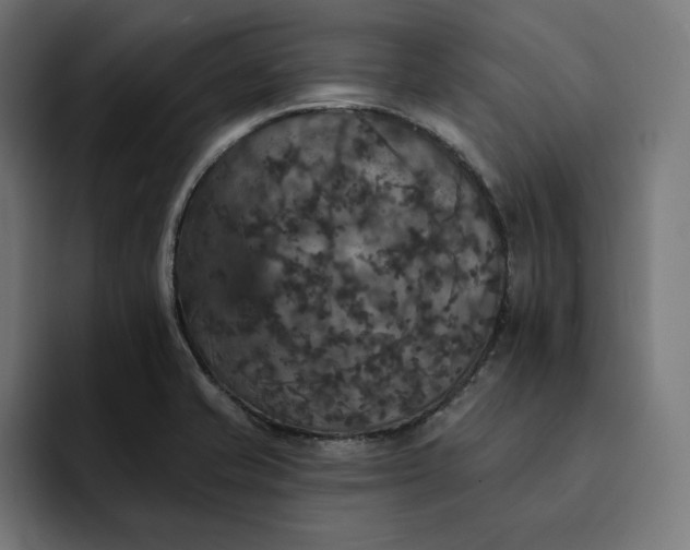 X0000093131421200710101050