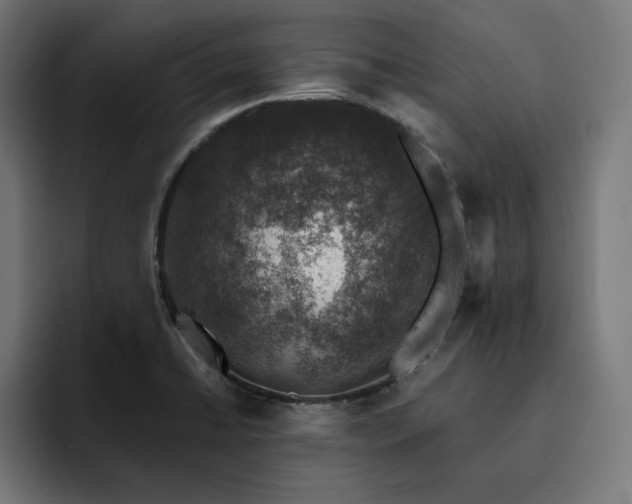 X0000093131422200710101050