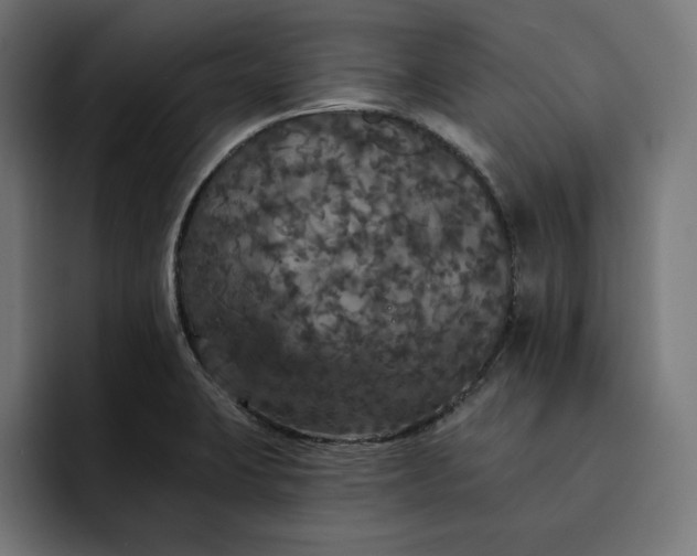 X0000093131423200710101050