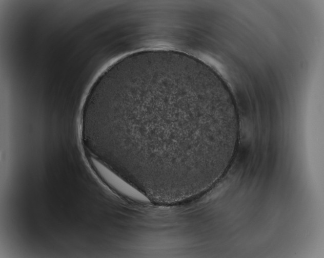 X0000093131424200710101051