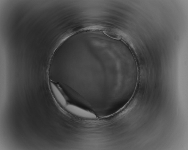 X0000093131425200710101051