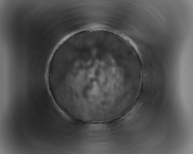 X0000093131429200710101051