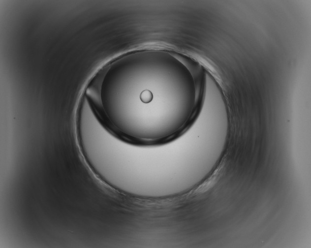 X0000093131430200710101051