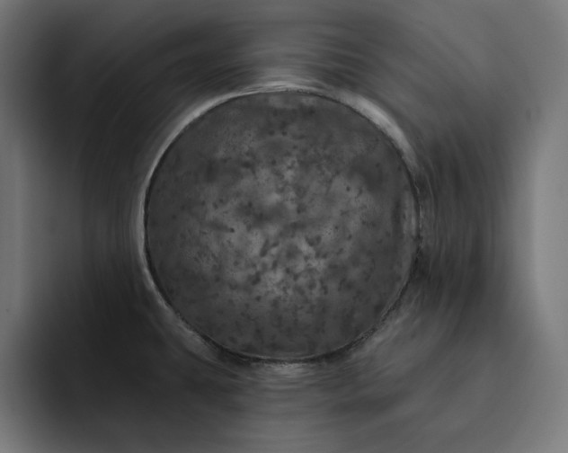 X0000093131431200710101051