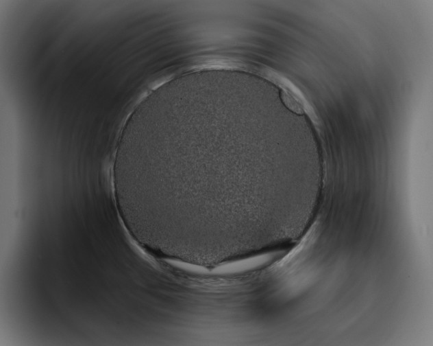 X0000093131433200710101051