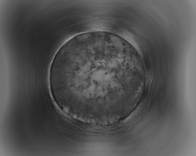 X0000093131439200710101051