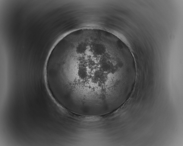 X0000093131440200710101051