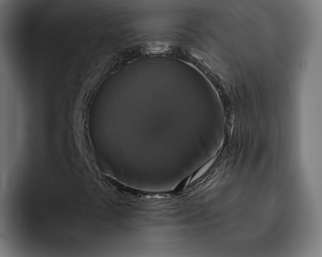 X0000093131441200710101050