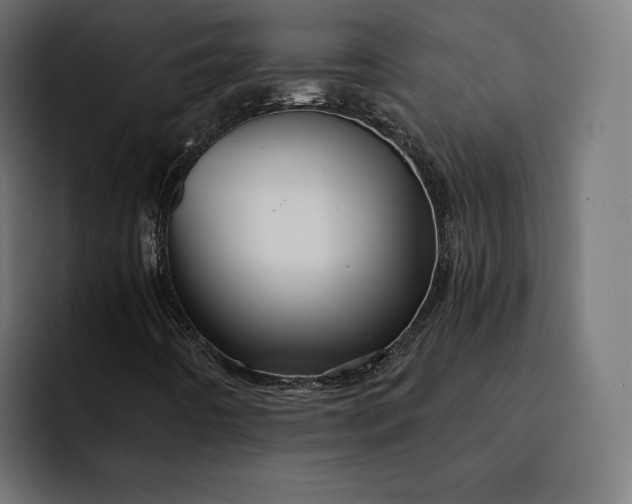 X0000093131442200710101050