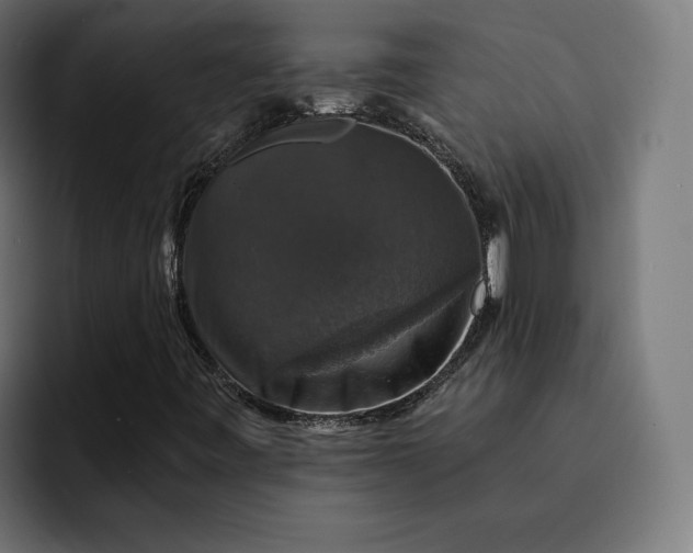 X0000093131443200710101050