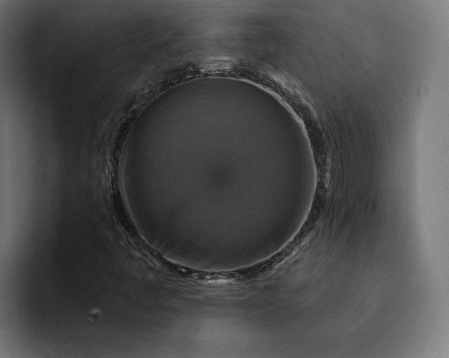 X0000093131445200710101050