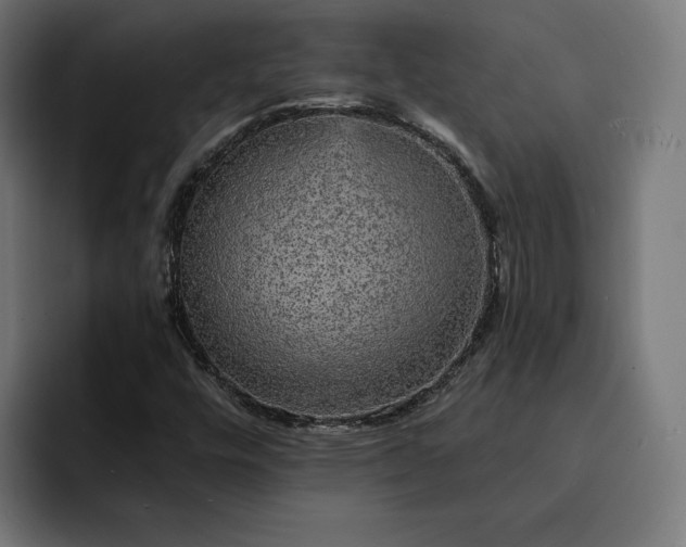 X0000093131448200710101050