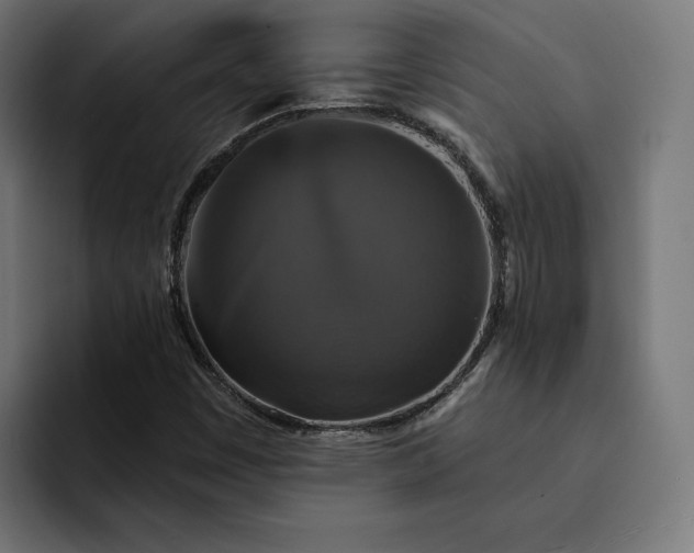 X0000093131449200710101050