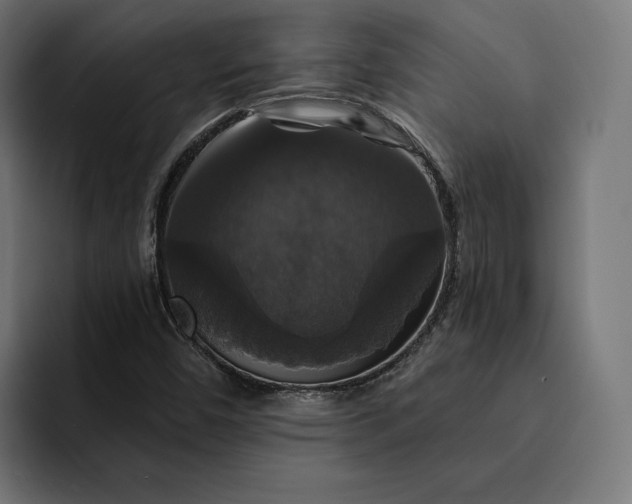 X0000093131450200710101050