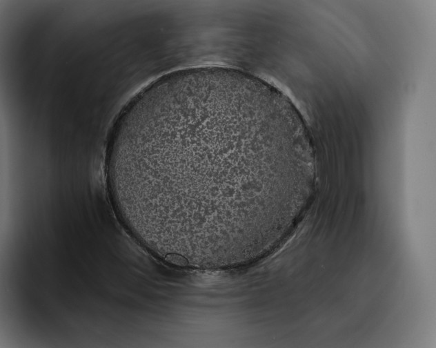 X0000093131452200710101050