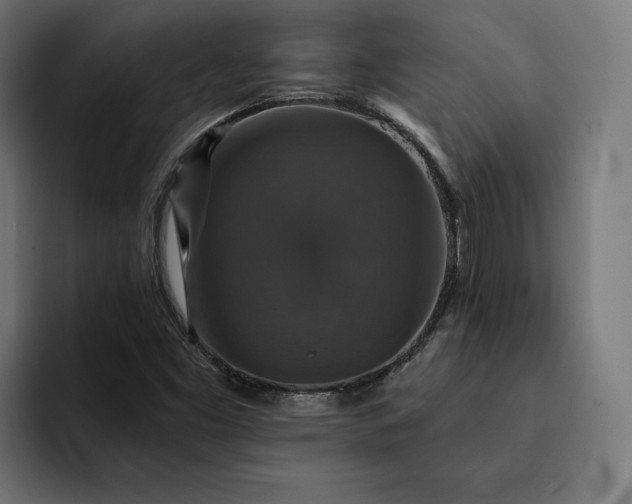 X0000093131453200710101050