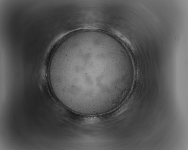 X0000093131454200710101050