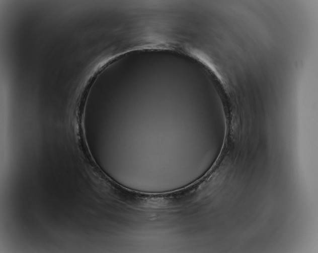 X0000093131455200710101050