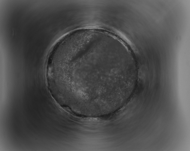 X0000093131456200710101050