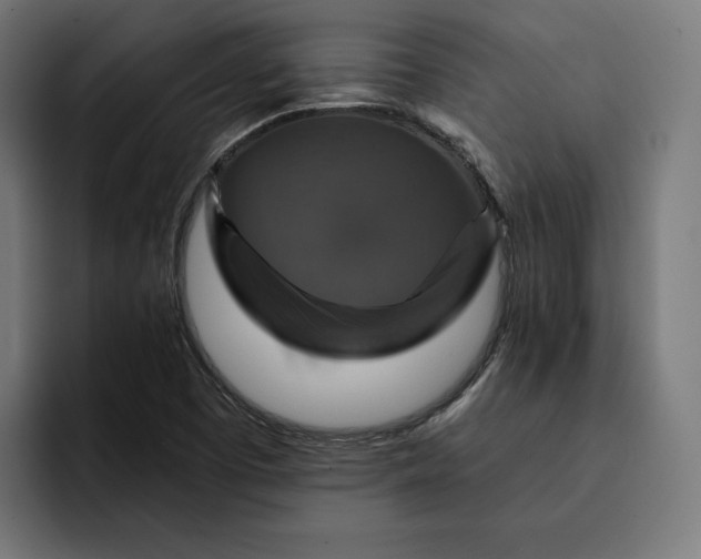 X0000093131457200710101050