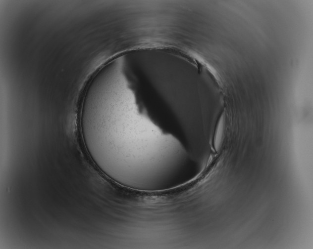 X0000093131459200710101050