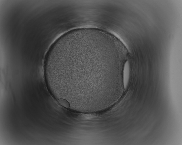 X0000093131460200710101050