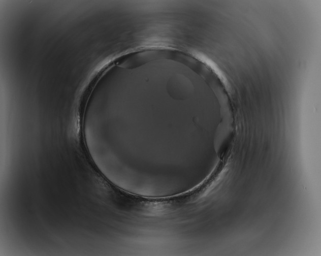 X0000093131461200710101050