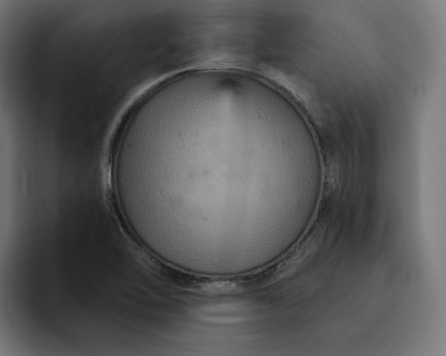 X0000093131462200710101050