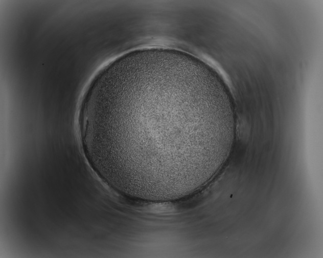 X0000093131464200710101050