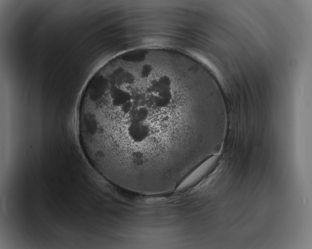 X0000093131467200710101050