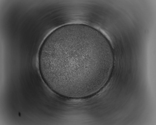 X0000093131468200710101050