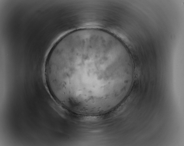 X0000093131470200710101050