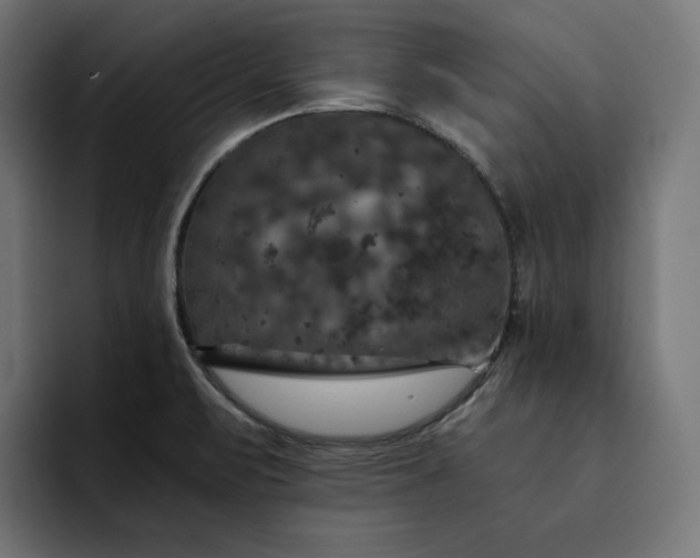 X0000093131471200710101050