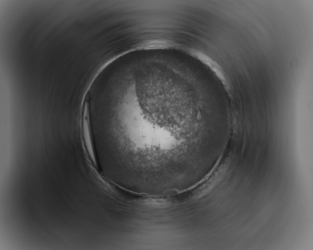 X0000093131473200710101050