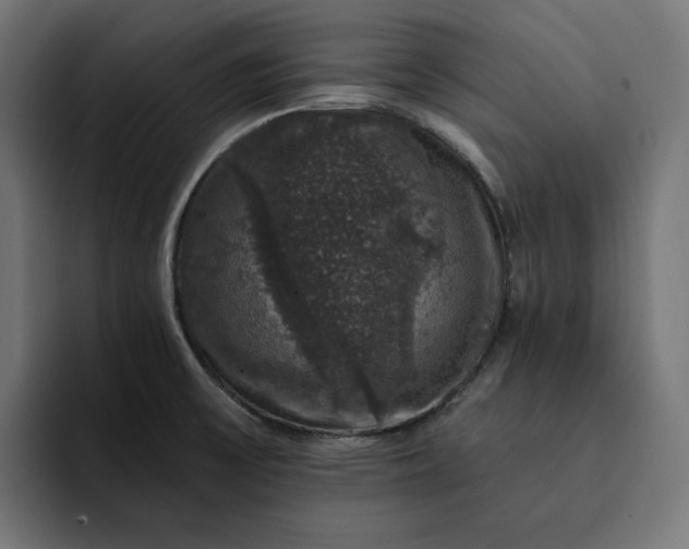 X0000093131475200710101050