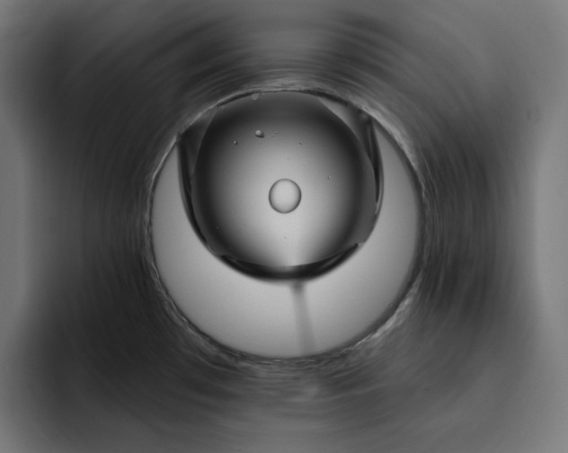 X0000093131481200710101050