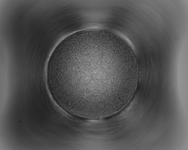 X0000093131483200710101050